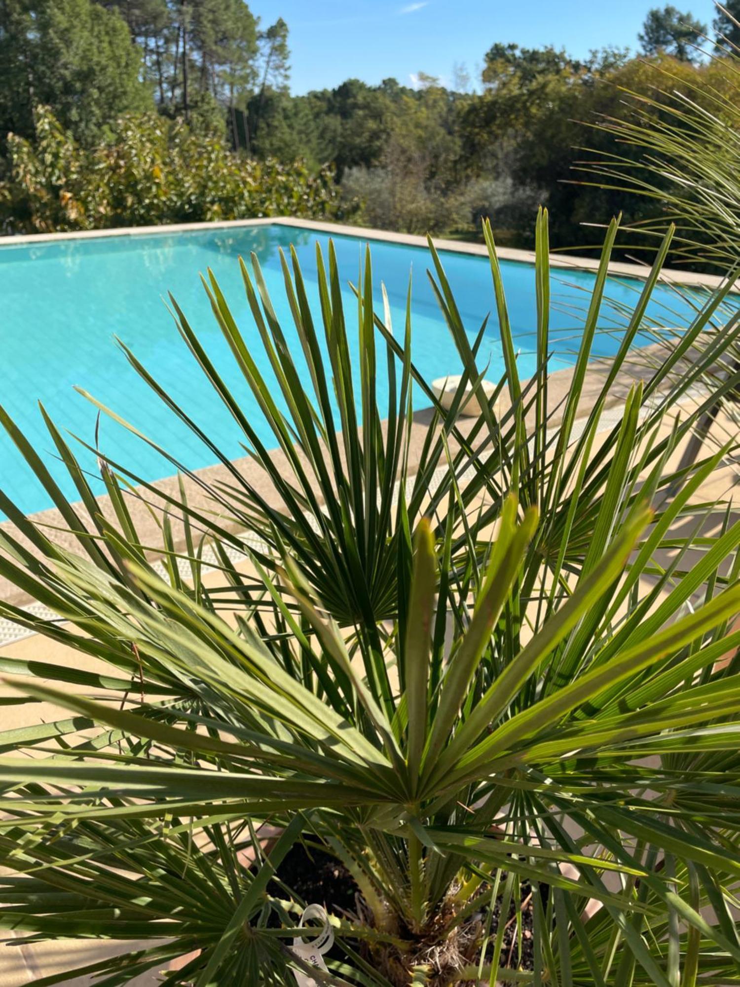 Appartement O Coeur Des Ocres à Roussillon en Isere Extérieur photo